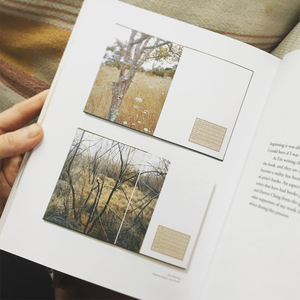 Folleto cuadrado Folleto Anuncio promocional Libros a todo color Catálogos Servicio <span class=keywords><strong>de</strong></span> impresión digital Fábrica <span class=keywords><strong>de</strong></span> alta calidad - Product Image 5