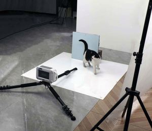 Máquina De Rayos X Digital portátil Rayos X dentales con 17*17 Digital Flat Panel Xray Digitalizador De Rayos X Portail Mini - Product Image 6