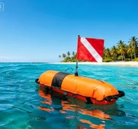 Flotteur de signalisation de surface professionnel en PVC gonflable pour la plongée sous-marine avec drapeaux de plongée