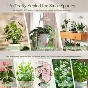 पौधे उगने वाले बल्ब ने ए 19/60 बल्ब बल्ब का नेतृत्व किया, इनडोर पौधा प्रकाश बल्ब e26/e27 बेस, इनडोर पौधे प्रकाश बढ़ता है - Product Image 6