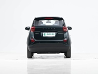 Chery New Energy Little Ant 2026 271km True Love Edition Mini Confort Premium