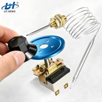 Contrôle de la température chauffage capillaire four électrique Thermostat interrupteur WHD-250B pour four avec bouton