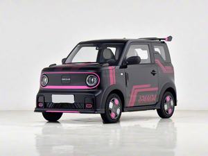 2025年新款吉利熊猫快充功能三门四座掀背式电动车迷你车廉价车适合日常通勤 - Product Image 5