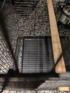 Ingrosso fabbrica di lusso di alta qualità grande gabbia per pappagalli in metallo pesante casa per uccelli facile da pulire e durevole custodia per <span class=keywords><strong>nido</strong></span> di uccelli - Product Image 5