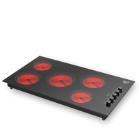 Placa de Inducción Portátil OEM a Gas y Eléctrica con Doble Quemador de 2500W, Superficie Cerámica y Batería para Uso Comercial