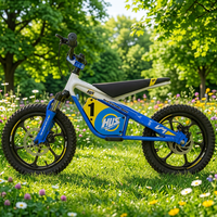 Moto électrique tout-terrain pour enfants 36V 5.0Ah, cadre en aluminium de 16 pouces, frein à disque hydraulique, pneu à crampons, 2 vitesses, vélo d'extérieur pour enfants