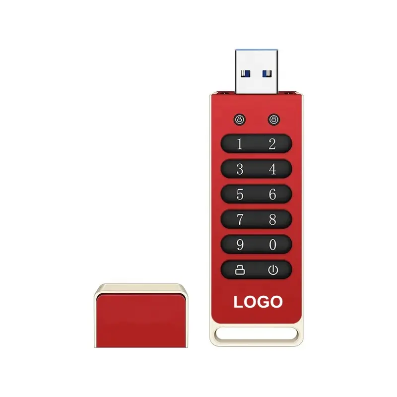 2024 New Arrival USB gadgets Password Protection secure USB3.0 Pen Drive 128GB Aes 256 Encrypted solid USB Flash Drive 256GB