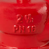 Robinet d'angle pour bouche d'incendie 2,5 pouces DN65 PN16 45° - Robinet de distribution intérieur à filetage BSPT/NPT
