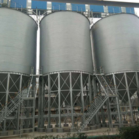 Silos in Acciaio per Stoccaggio di Mais, Grano e Cereali con Macchina Integrata per Pulizia ed Essiccazione