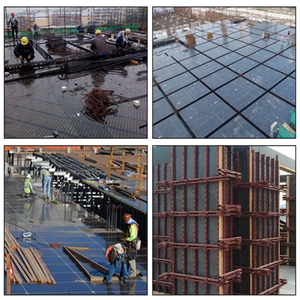 <span class=keywords><strong>Precio</strong></span> de fábrica Estilo de Diseño Europeo 12mm 15mm 18mm para tableros de Chapa negra de madera contrachapada Marina <span class=keywords><strong>Encofrado</strong></span> de construcción - Product Image 5