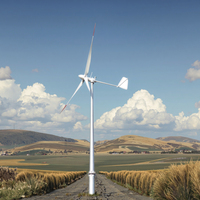 Générateurs d'éoliennes à pas variable micro 1 kW 1000 W Utilisation domestique Tension de sortie 220 V