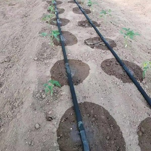 Tubo per <span class=keywords><strong>irrigazione</strong></span> 16mm nastro per <span class=keywords><strong>irrigazione</strong></span> a goccia per <span class=keywords><strong>irrigazione</strong></span> agricola - Product Image 6