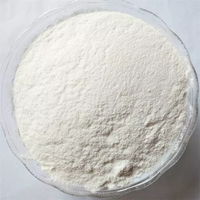 Poudre de gypse TRUSUS à bas prix-Poudre de plâtre de haute qualité