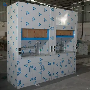 带洗涤器的便携式实验室通风柜活化碳过滤器实验室通风柜