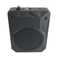 2024 Vente chaude 8 10 pouces sous le siège Subwoofers actifs Woofer Haut-parleur pour voitures subwoofer sous le siège voiture