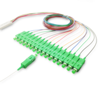 Suministro Directo de Fábrica, Divisor PLC Mini SC 1*16 SM de Alta Calidad, Tubo de Acero SC/APC