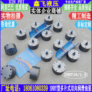SNBY16/1.6 New Condition Multi-plate Bidirectional Oil Supply <b>Pump</b> CycloidalRotor Lubrication Gearbox Condition New - Product Image 3