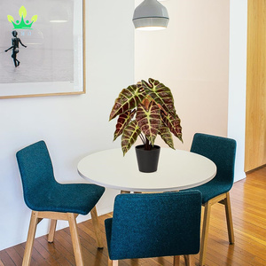 Pianta artificiale vera e propria tocco pianta di Alocasia <span class=keywords><strong>in</strong></span> <span class=keywords><strong>vaso</strong></span> nero pianta d'<span class=keywords><strong>appartamento</strong></span> per mensola <span class=keywords><strong>da</strong></span> tavolo centrotavola casa fattoria decorazioni per la casa - Product Image 4
