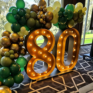 Customized large <b>letter</b> <b>lights</b>, giant LED illuminated number <b>lights</b>, acrylic material, AC power supply - Product Image 3