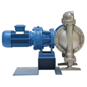 Pompes à membrane électriques industrielles de traitement de l'eau d'assurance qualité de 1 pouce/pompe compatible de bonne marque