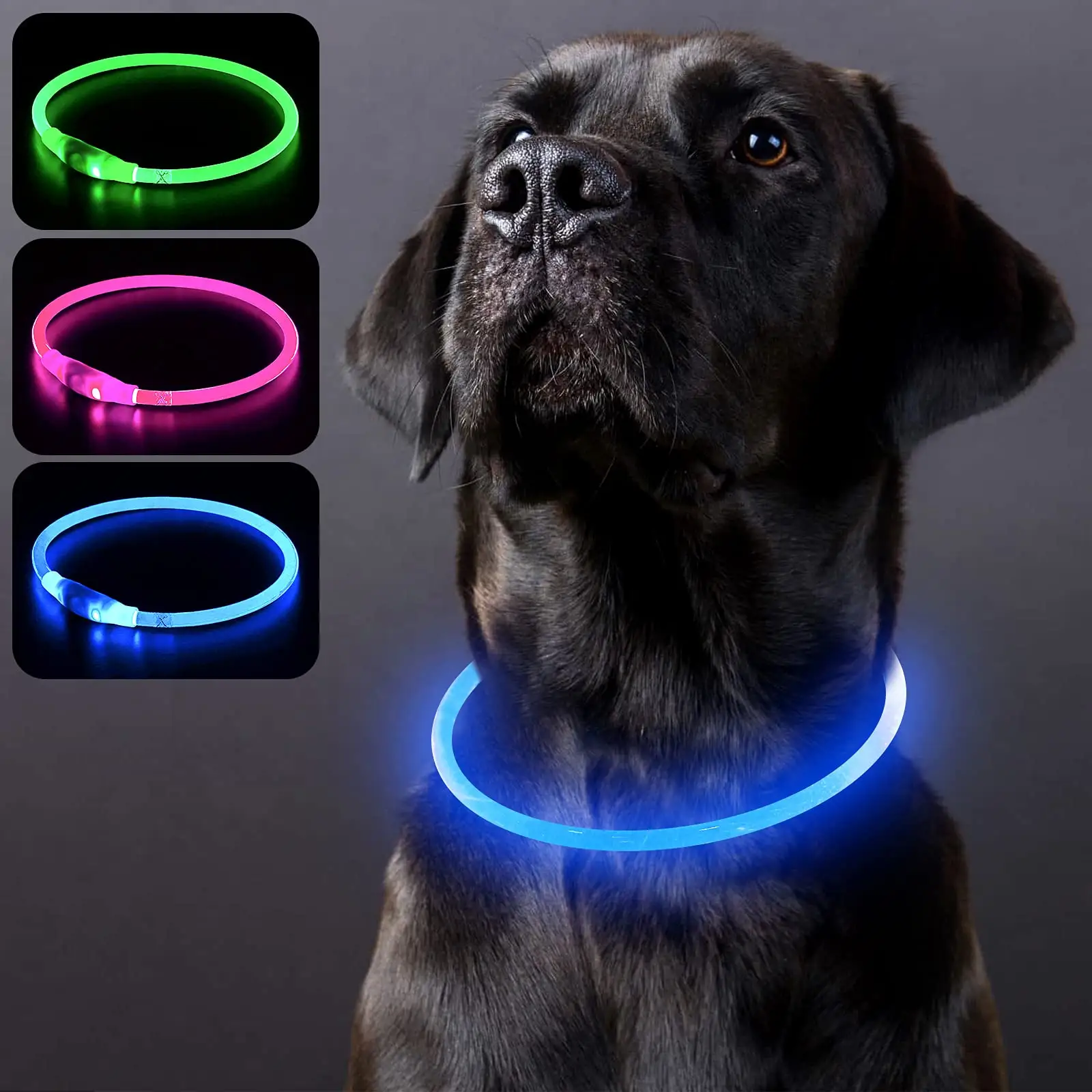 OEM LED multicolore réglable fournitures pour animaux de compagnie collier pour chien en cuir avec boucle métallique à dégagement rapide