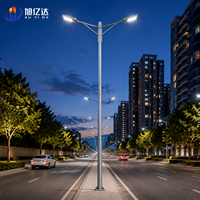 Lampadaire LED en alliage d'aluminium étanche IP66 à haut lumen, AC SMD 50W 100W 150W 200W pour autoroute et parc