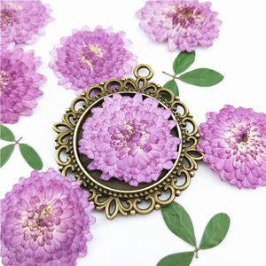 Fiori naturali pressati vero crisantemo essiccato <span class=keywords><strong>viola</strong></span> Mini <span class=keywords><strong>margherita</strong></span> per la decorazione del segnalibro di arte artigianale - Product Image 2