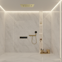 Système de douche mural contemporain en laiton poli, mitigeur monocommande, finition céramique noir mat, pommeau de douche pluie encastré, massage, pour hôtel