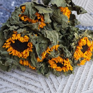 Magnifiques fleurs séchées en gros, tournesol préservé, personnalisation sur mesure de haute qualité pour l'Aïd, Diwali, la Saint-Valentin, la décoration de la maison et des événements - Product Image 1