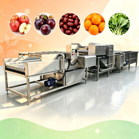 Volledige set fruit- en groentewas- en droogmachine 500kg/u Groenteverwerkingslijn Appel Peer Tomaat Reinigingsapparatuur