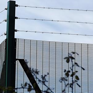 Clôture d'isolement en acier galvanisé traité thermiquement haute sécurité, anti-rouille, pour usage en jardin et ranch, enclos anti-évasion <span class=keywords><strong>de</strong></span> 8 pieds pour <span class=keywords><strong>zoo</strong></span> - Product Image 5