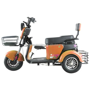 <span class=keywords><strong>Scooter</strong></span> électrique à 3 <span class=keywords><strong>roues</strong></span> de haute qualité 800W pour adultes 48V/60V Tricycle à cadre en acier Véhicule de passagers à bas <span class=keywords><strong>prix</strong></span> en provenance de Chine - Product Image 3