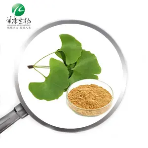 Werkslieferung Ginkgo Biloba Blattenextrakt 24% Flavonen 6% Laktone Ginkgo Biloba Extraktpulver