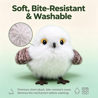 Jouet interactif en peluche pour chaton, en forme d'oiseau qui bat les ailes et chante, activé par le toucher, rechargeable, avec herbe à chat, pour chats d'intérieur - Vente en gros