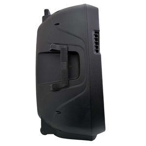 ลำโพงเวทีแบบ Passive ขนาด 15 นิ้ว 100 วัตต์ 4 โอห์ม เสียงระดับมืออาชีพ ผลิตในอิตาลี - Product Image 3