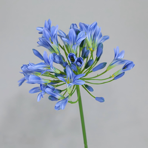 Arreglos Florales Artificiales de Alta Calidad Estilo Europeo para Decoración de Sala de Estar y Dormitorio, Accesorios de Fotografía, Venta al Por Mayor - Product Image 4