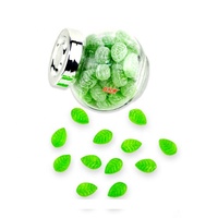 Bonbon en forme de feuille d'arbre fruité de différentes saveurs emballé individuellement