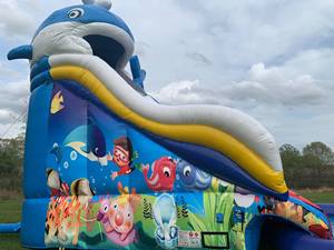 Scivolo d'acqua gonfiabile a doppia corsia con piscina buttafuori il grande parco acquatico balena - Product Image 5