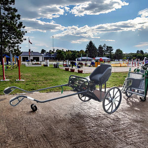 Compétition en acier Sulky <span class=keywords><strong>Horse</strong></span> <span class=keywords><strong>Cart</strong></span> pour équestre - Product Image 6