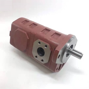 Yuanyi Hydraulic Gear <b>Pump</b> CBGJ2080/2080 Double CBGJ High Oil <b>Pump</b> 280 cm Displacement 5 HP 300 <b>bar</b> Operating Pressure - Product Image 3