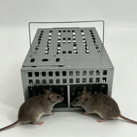Piège à souris multi-captures sans cruauté, boîte à double porte, attrape-rongeurs continu en acier galvanisé, cage à rats sans tuer