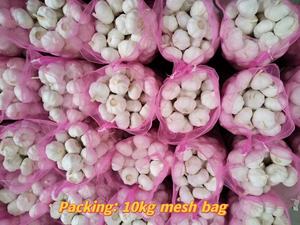 4.5Cm 5.0Cm 5.5Cm 6.0Cm Tỏi Tươi Và Hành Tây Ail 2023 Ajo Trung Quốc Tươi Tỏi Trắng Alho Nhà Sản Xuất - Product Image 6