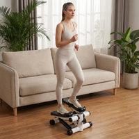 Mini stepper réglable en résistance, équipement d'exercice de marche, vente chaude, salle de sport personnalisée, domicile
