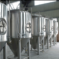 Ligne de production de vin de papaye entièrement automatique, machine de fermentation pour le traitement du vin de fruits