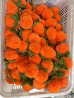 Porte-clés animal en peluche en forme de fruit de haute qualité porte-clés pompon mignon pour filles accessoire de Offre Spéciale articles de toilette