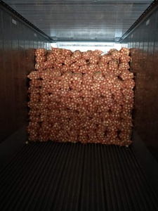 Los últimos productos agrícolas, cebollas amarillas frescas - Product Image 6