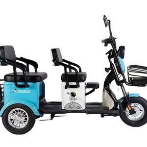 Triciclo Eléctrico Chino de 3 Ruedas para Adultos, 750W/500W, con Neumáticos Anchos, para Carga, Venta al por Mayor - Product Image 1