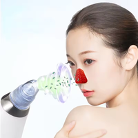 Aspirateur Points Noirs Électrique Professionnel et Démêleur d'Acné en Gros