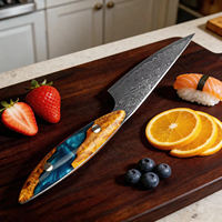 Hoogwaardig 67-laags Damascus staal VG10 kern 3,5 inch schilmesje multifunctioneel fruitmes voor keuken custom dropshipping