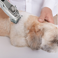 Tondeuse Électrique Professionnelle en Céramique et Métal pour Animaux de Compagnie, Faible Bruit, Rechargeable, pour Chiens et Chats - Vente en Gros Usine